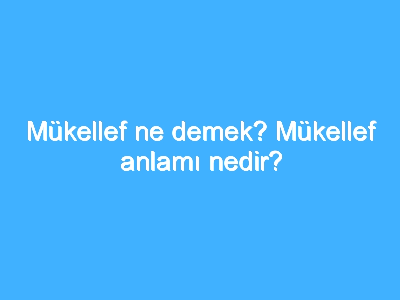 Mükellef ne demek? Mükellef anlamı nedir? 1 Mükellef ne demek? Mükellef anlamı nedir?