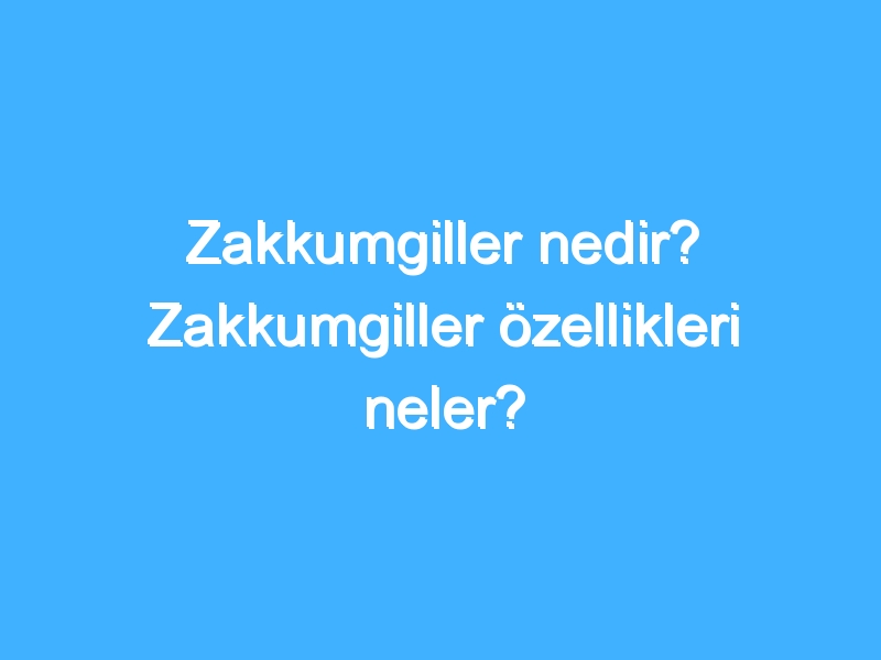 Zakkumgiller nedir? Zakkumgiller özellikleri neler? 1 Zakkumgiller nedir? Zakkumgiller özellikleri neler?