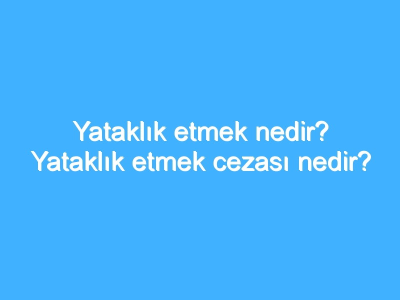 Yataklık etmek nedir? Yataklık etmek cezası nedir?