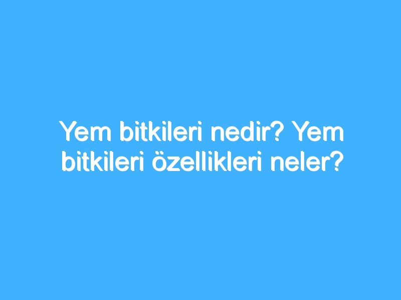 Yem bitkileri nedir? Yem bitkileri özellikleri neler?