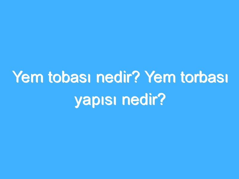 Yem tobası nedir? Yem torbası yapısı nedir?