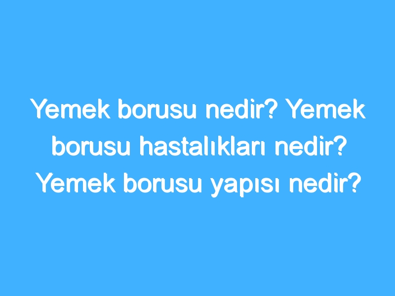 Yemek borusu nedir? Yemek borusu hastalıkları nedir? Yemek borusu yapısı nedir?