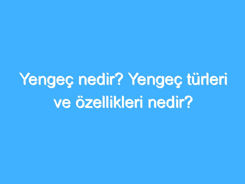 Yengeç nedir? Yengeç türleri ve özellikleri nedir?