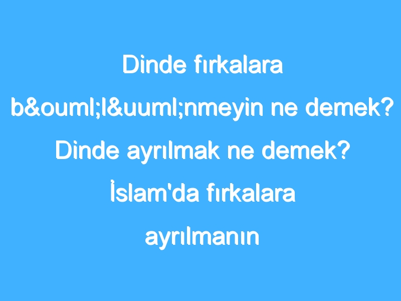 Dinde fırkalara bölünmeyin ne demek? Dinde ayrılmak ne demek? İslam'da fırkalara ayrılmanın hükmü nedir?